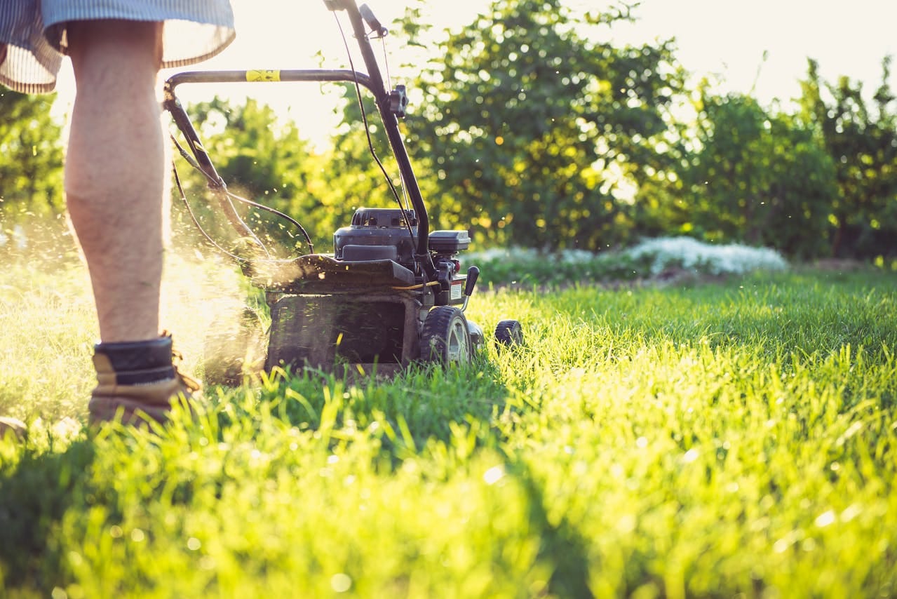 electric lawn mower