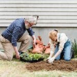 gardening gloves